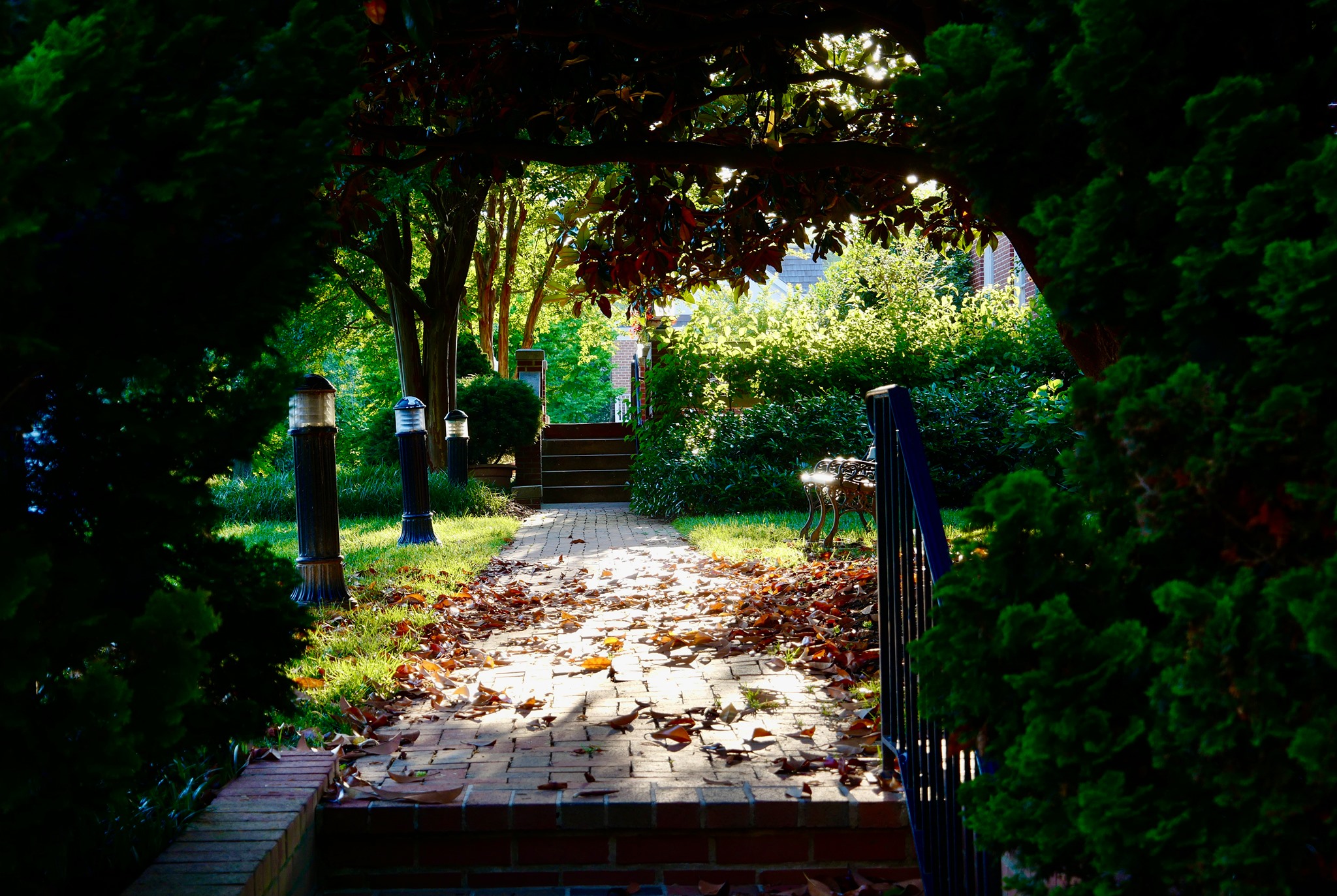 Kentlands Kentlands